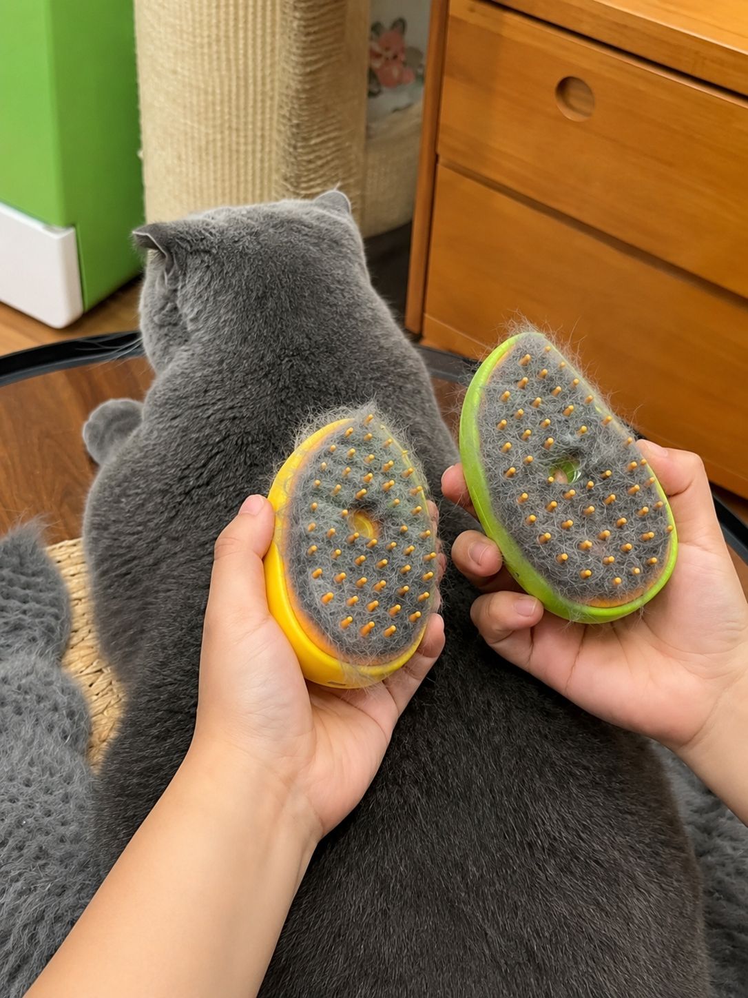 Cepillo de Vapor 3 en 1 para Perros y Gatos